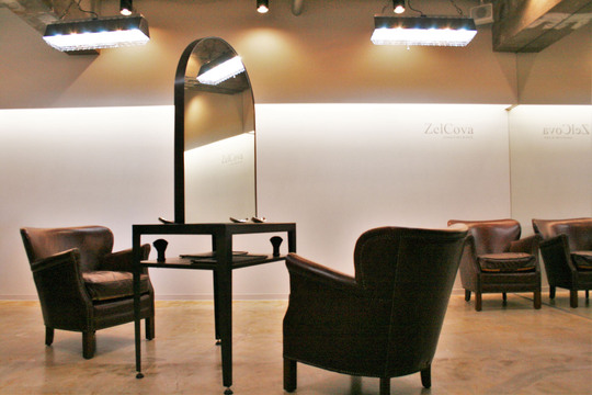 ZelCova（ゼルコバ）