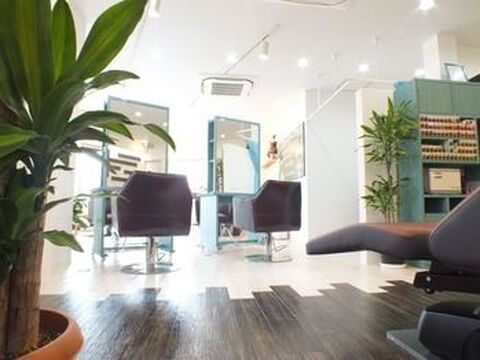 molle +（モーレプラス）