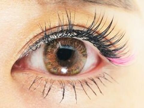 Prima Plito（プリマ プリート）