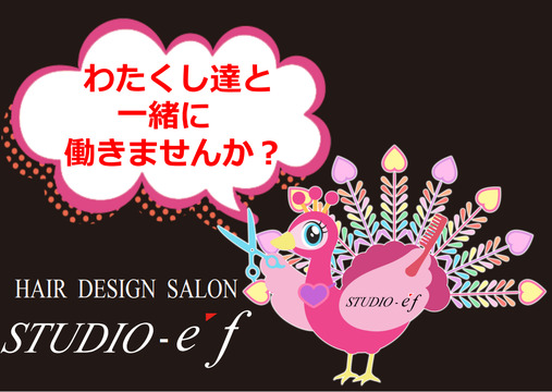 【国分寺駅】≪完全週休2日制も選べる・着付けあり・7日間の夏期休暇あり≫ノルマがなく、自分のペースでお客様と向き合えます！幅広い年代のお客様と関われる地域密着サロン「STUDIO-ef（スタジオエフ）」からスタイリスト（美容師）の求人☆★☆