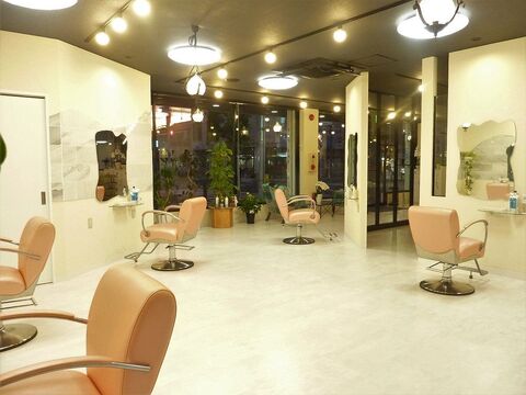 COCO camino （ココ カミーノ）