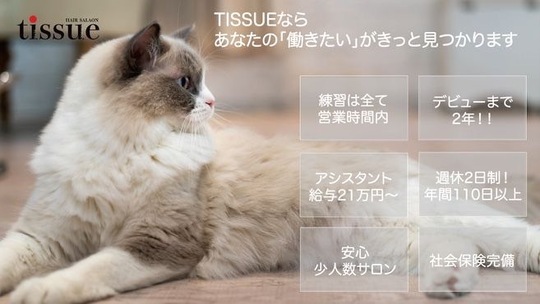 tissue（ティッシュ）