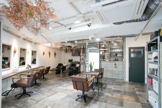 shed.（シェド）