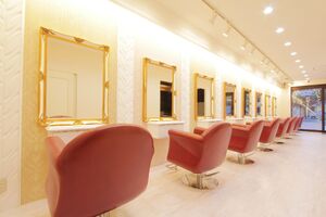 株式会社プルメリア