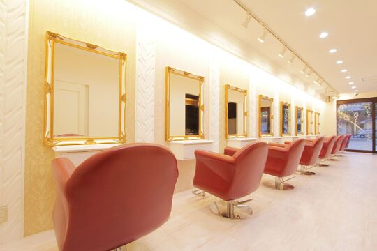 Plumeria（プルメリア）