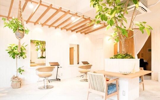 Louvre（ルーヴル）