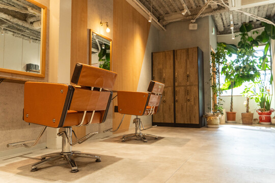 Bamboo grass（バンブー グラス）