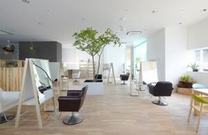 有限会社セサンク