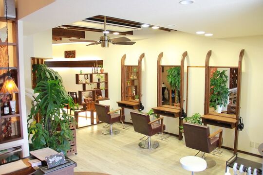 jouet elua（ジュエ エルア）