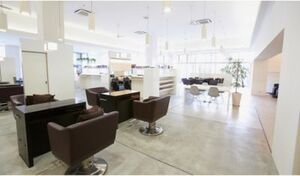 有限会社セサンク