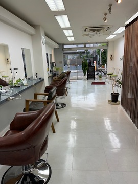 花水木（ハナミズキ）