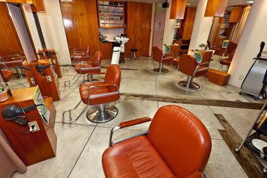 hair snip（ヘアー スニップ）