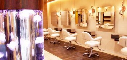 WiLL DOLL（ウィル ドール）