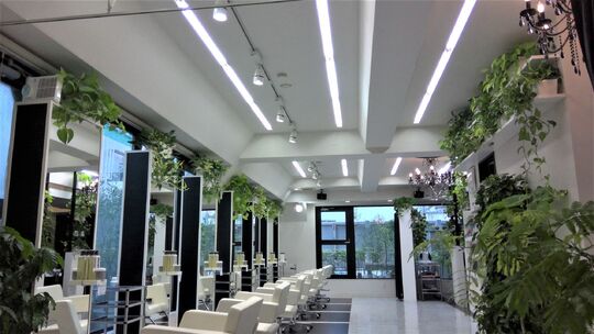 ASSEMBLAGE 心斎橋店（アセンブラージュ シンサイバシテン）