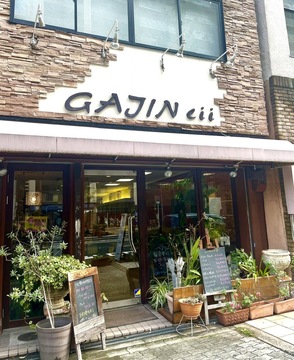 GAJIN eii（ガジン イー）