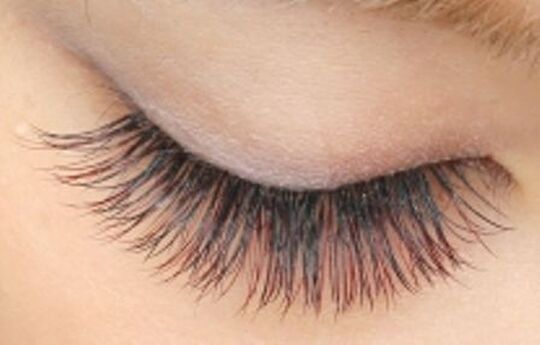 アイラッシュ・カフェ＆ネイル・パレット 布施店