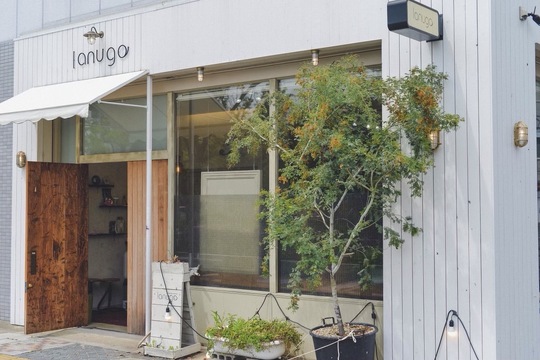 lanugo（ラヌゴ）