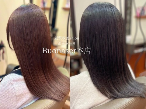 Buonasera 本店（ボナセーラ ホンテン）