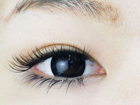 Showy河原町店（ショウイーカワラマチテン）