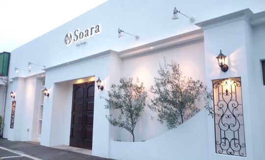 Soara by Cotton（ソアラ バイ コットン）