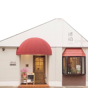 琥珀（コハク）