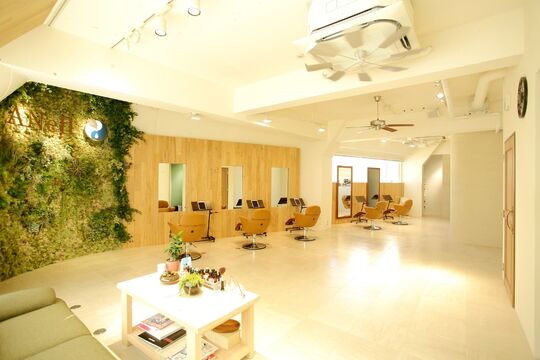 Anell（エネル）