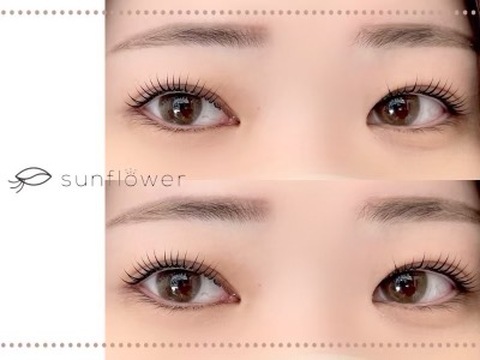 sunflower villa（サンフラワー ヴィラ）