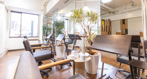 bans Total Beauty Dream