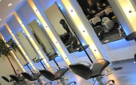 Blue steller（ブルーステラ）