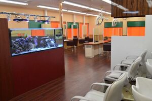 有限会社メデューサ