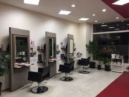 Altema Glamorous Hair