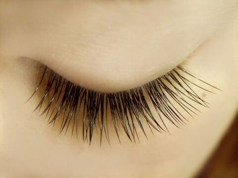 Lash One 四条店（ラッシュ ワン シジョウテン）