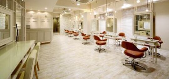 WiLL DRESS（ウィル ドレス）