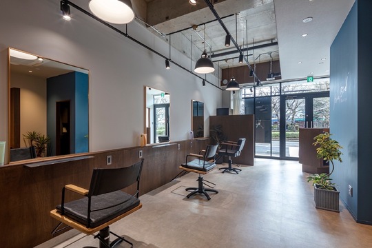 Blue Bird（ブルー バード）