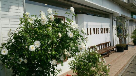 LA VIE SIMPLE（ラ ビ サンプル）