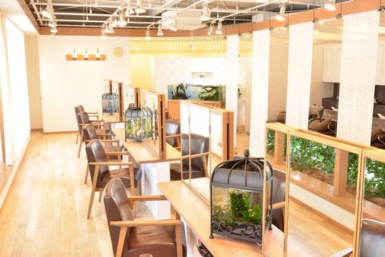 Natural vino（ナチュラル ヴィーノ）