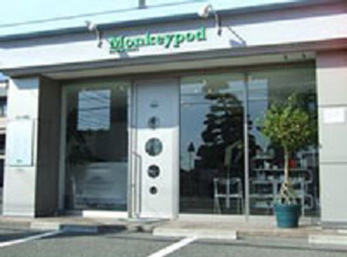 Monkeypod（モンキーポッド）