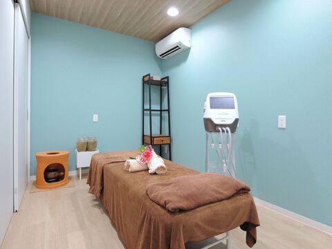 整体甲子園 Purana（セイタイコウシエン プラーナ）