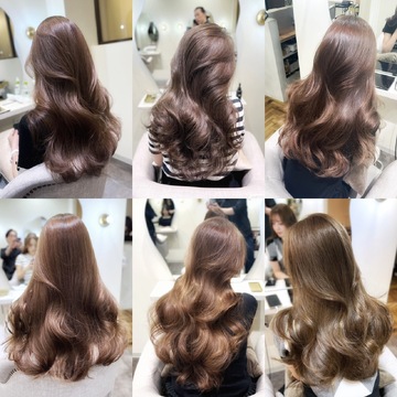 Sugar（シュガー）