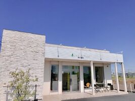 株式会社UNDER TREE