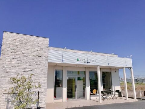 UNDERTREE ROOTS（アンダートゥリー ルーツ）