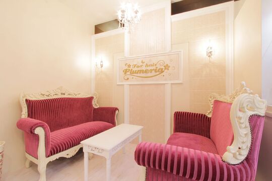 【JR草津駅】≪社会保険完備≫≪入客チャンスあり≫≪パートさんOK≫オープン以来人気が全く衰えないサロンです♪噂を聞きつけて新規のお客様もたくさん来られるので入客チャンスはありますよ♪「Plumeria（プルメリア）」からスタイリスト（美容師）の求人☆★☆