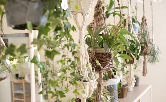 【警固】≪高月給・高単価・住宅手当あり・社会保険完備・20時迄の退勤可能≫ひとりひとりのお客さまと向き合い、丁寧な施術、接客をしています。レベルの高い美容師を目指せるヘアサロン「hair genuine（ヘアージェニュイン）」からスタイリスト（美容師）の求人★☆