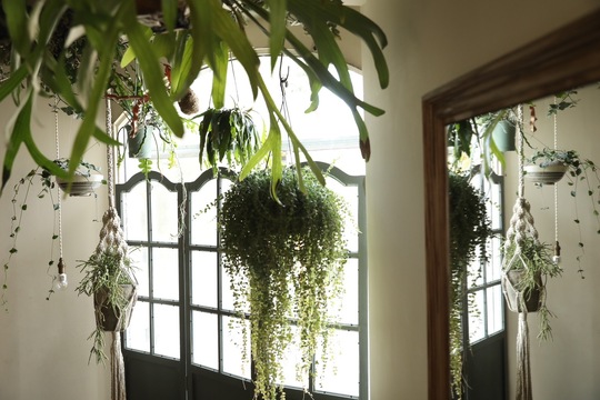 【武庫之荘】≪平均19時過ぎ退社≫≪社会保険完備≫≪シフトで日曜休みもOK≫！高単価なヘアケア、髪質改善メニューが人気！ママさんスタイリスも活躍しています！「Salo（サロ）」からスタイリスト（美容師）の求人☆★☆