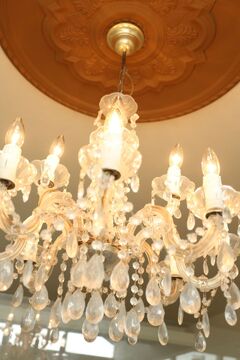 【滝野】スタッフさん同士みなさん仲良しなので、毎日のサロンワークがとっても楽しい環境のサロン♪社会保険も完備♪「Be Shine 滝野店（ビィシャイン タキノテン）」からアシスタント（美容師）の求人☆★