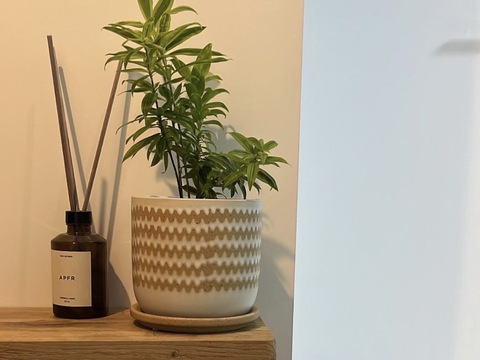 【四ツ橋】≪髪色・ネイル自由≫≪自由出勤制≫≪土日休みOK≫≪ママさんの応募歓迎≫お客様1人1人の希望に合わせた施術が人気のトータルビューティーサロン！「miele（ミエレ）」からアイリスト（まつげエクステ、まつげパーマ、アイブロウ）の求人☆☆