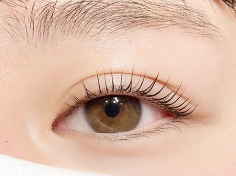 【中野駅】≪有給休暇あり・年2回賞与あり・産休育休実績あり・月8日休み・実働8時間・髪型ネイル自由・社会保険完備≫未経験者の方でもマンツーマンの研修で確かな技術を習得できるサロン「EYE’S lash_brows（アイズラッシュブロウ）」からアイリスト（アイデザイナー・まつげエクステ）の求人☆☆