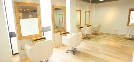 【横山】≪完全週休2日制！年間114日休み≫≪毎月第3日曜定休≫≪有給休暇あり≫圧倒的な集客力があり、頑張り次第で月に40万円以上稼ぐ事が可能!!さらに週休2日なのでプライベートも充実できます！頑張りしだいで高収入も目指せる環境です！「apsee 南が丘本店（アプシーミナミガオカホンテン）」からスタイリストの求人☆★