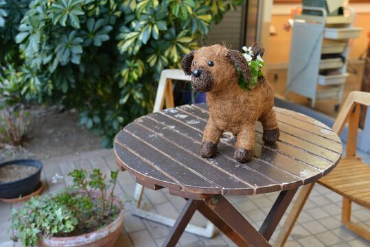 【川口】≪社会保険完備≫≪完全週休2日制≫スタイリストデビューは平均1年半！充実した福利厚生アリ！！長くお仕事出来る環境のヘアサロン「comodo（コモド）」からアシスタント（美容師）の求人☆★☆