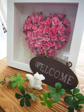 【三条】頑張れば頑張った分だけ稼げる環境！入客チャンスが圧倒的に多いお店♪年齢・キャリア関係なく活躍できる勢いのあるサロンです♪”pearl（パール）”からアイリスト（アイデザイナー・まつ毛エクステ）の求人★★